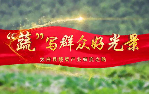 “蔬”写群众好光景