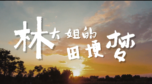林大姐的田埂梦