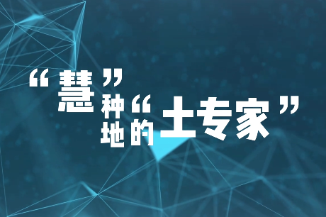 “慧”种地的“土专家”