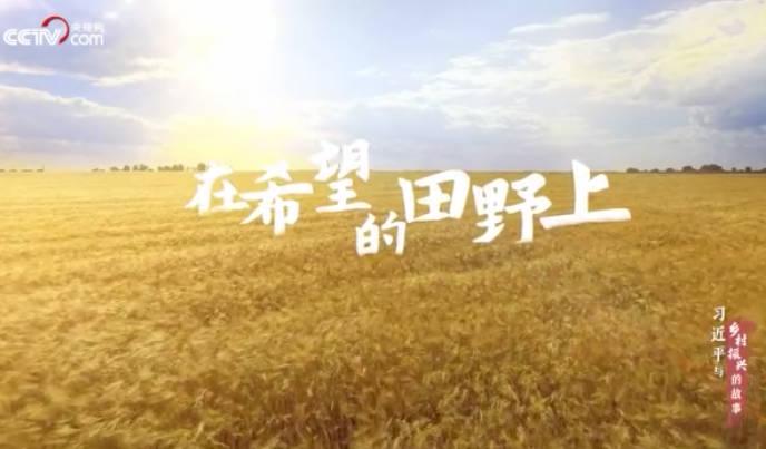 习近平与乡村振兴的故事...