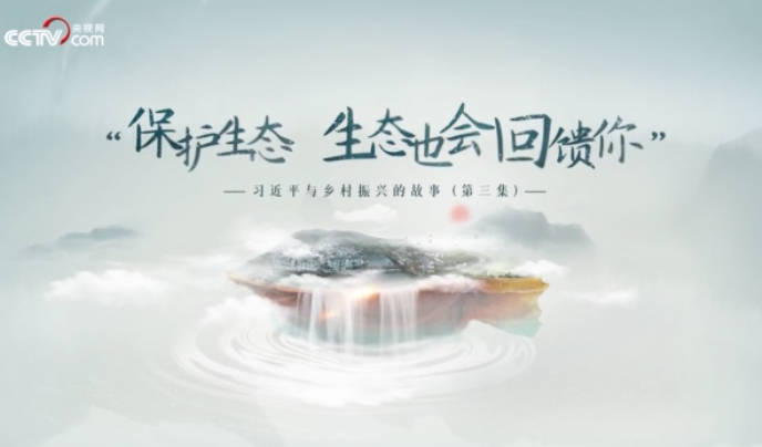习近平与乡村振兴的故事...