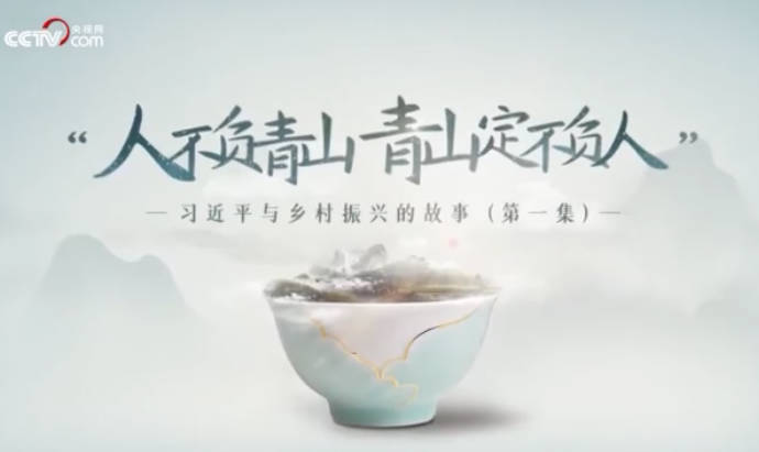 习近平与乡村振兴的故事...