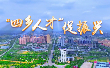 “四乡人才”促振兴