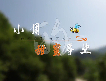 小周的甜蜜事业