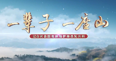 一辈子一座山
