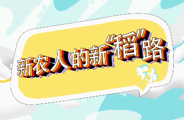 【8090新农人】安康市旬...