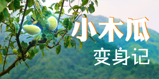 小木瓜变身记6