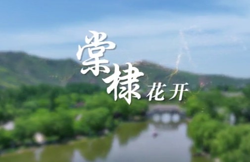 棠棣花开4